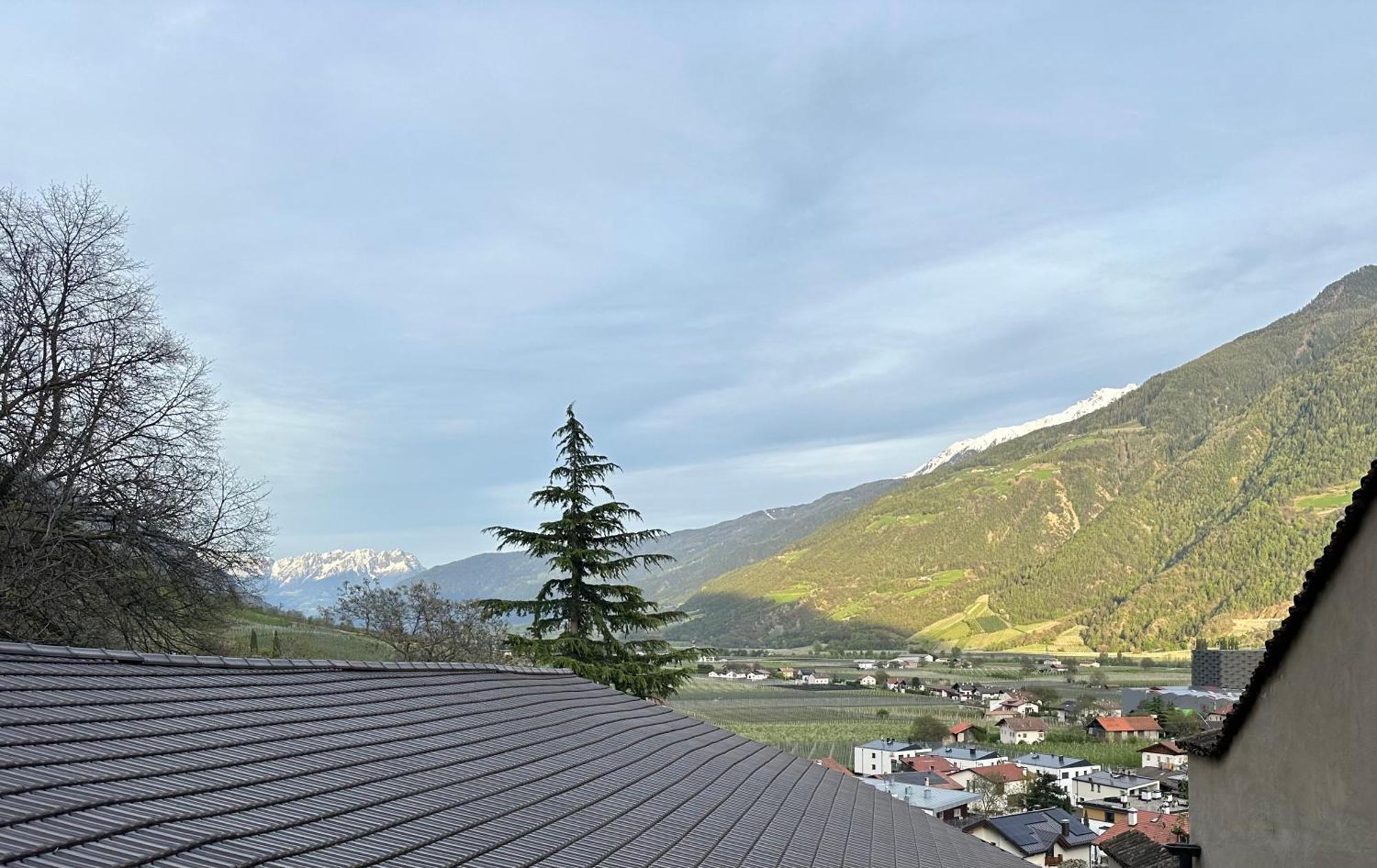 Weingut Koefelgut - Turris Vini Daire Castelbello Dış mekan fotoğraf